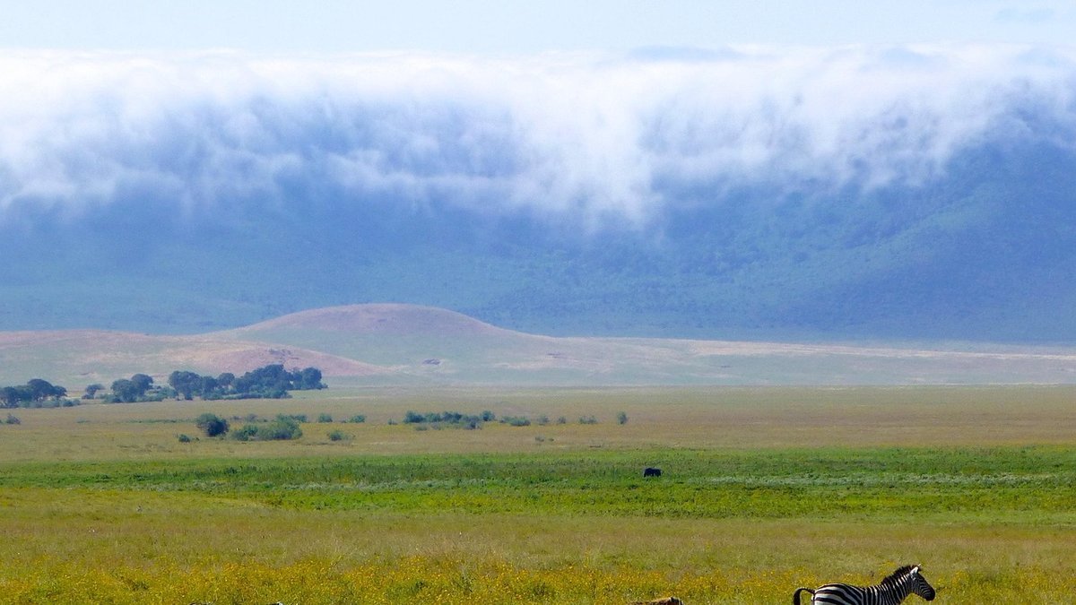 Cratère du Ngorongoro en Tanzanie