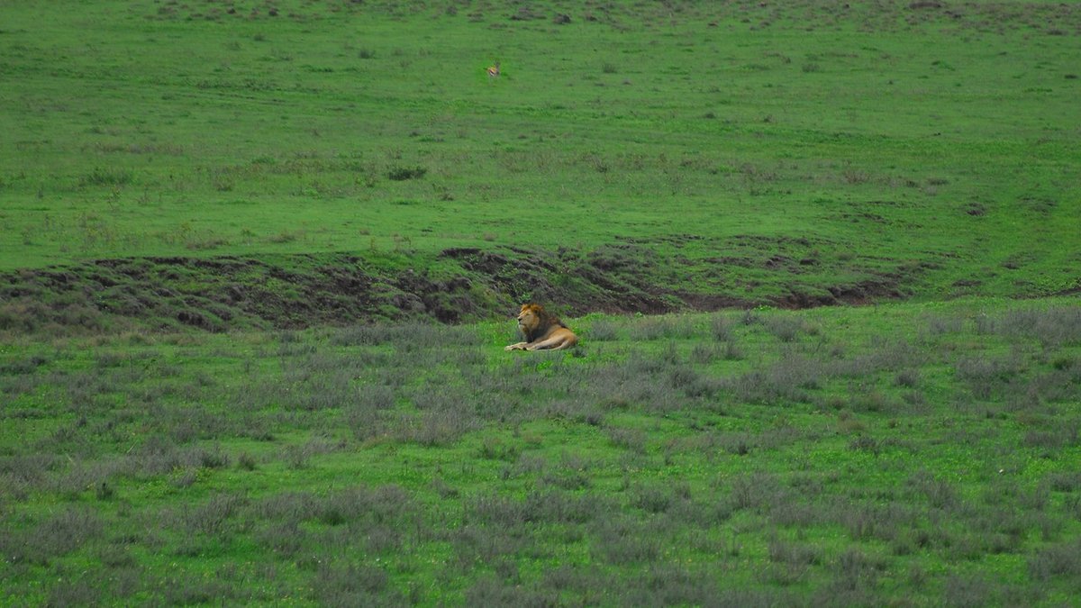 Cratère du Ngorongoro en Tanzanie