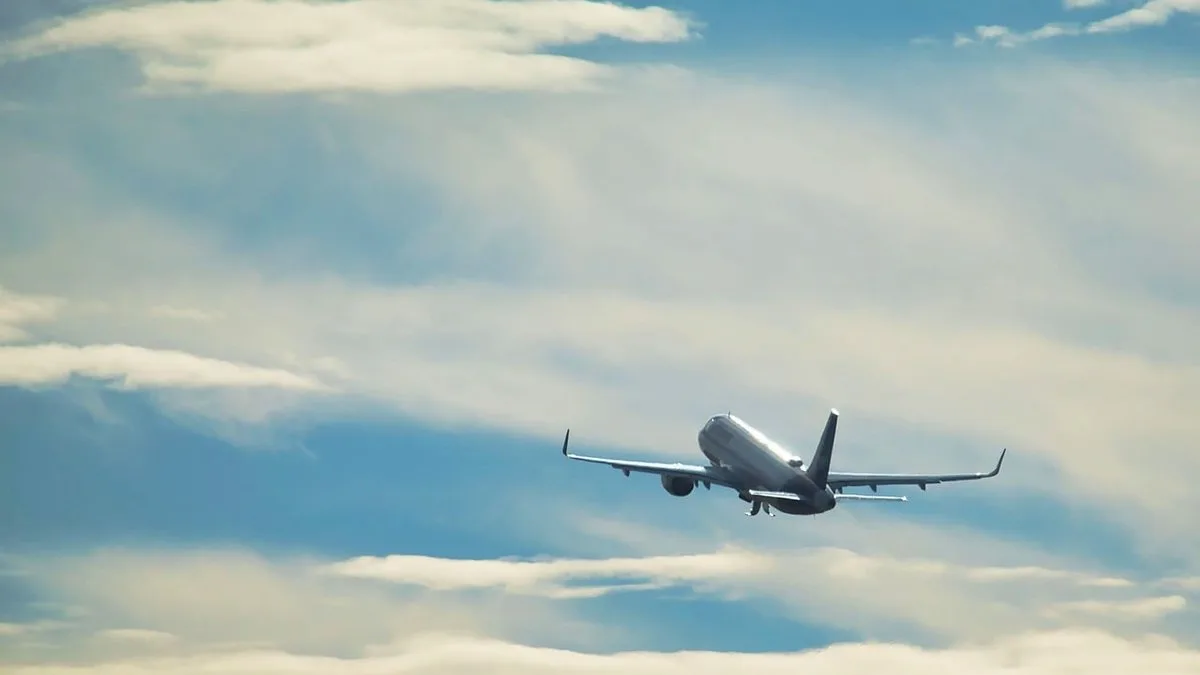 Vols internes en Tanzanie : guide complet des bush flights, tarifs et compagnies