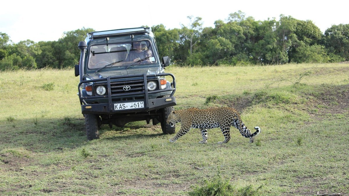 Sécurité en safari au Kenya