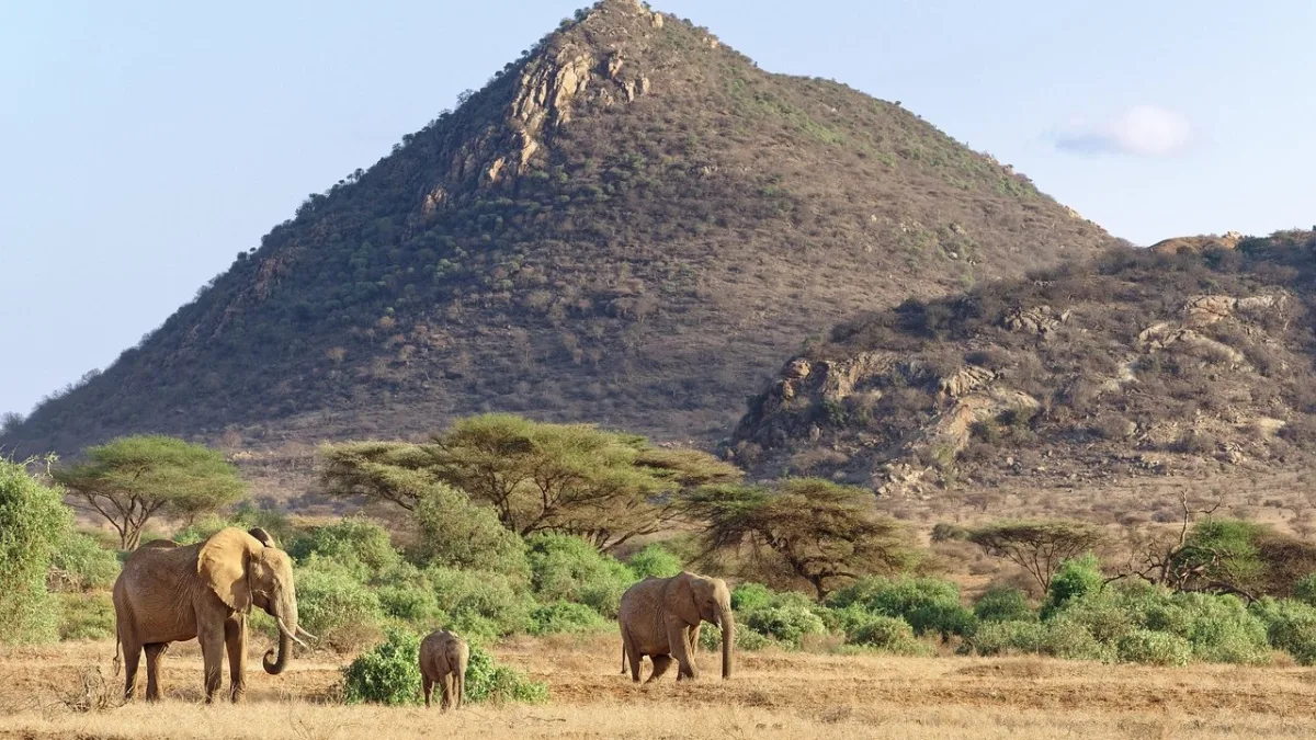 Comment se rendre à Samburu depuis Nairobi