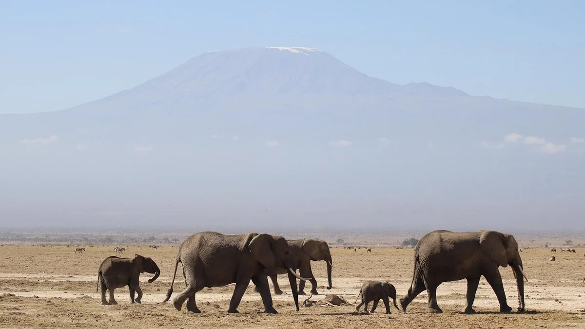 Hell's Gate Kenya : guide du parc national d'aventure