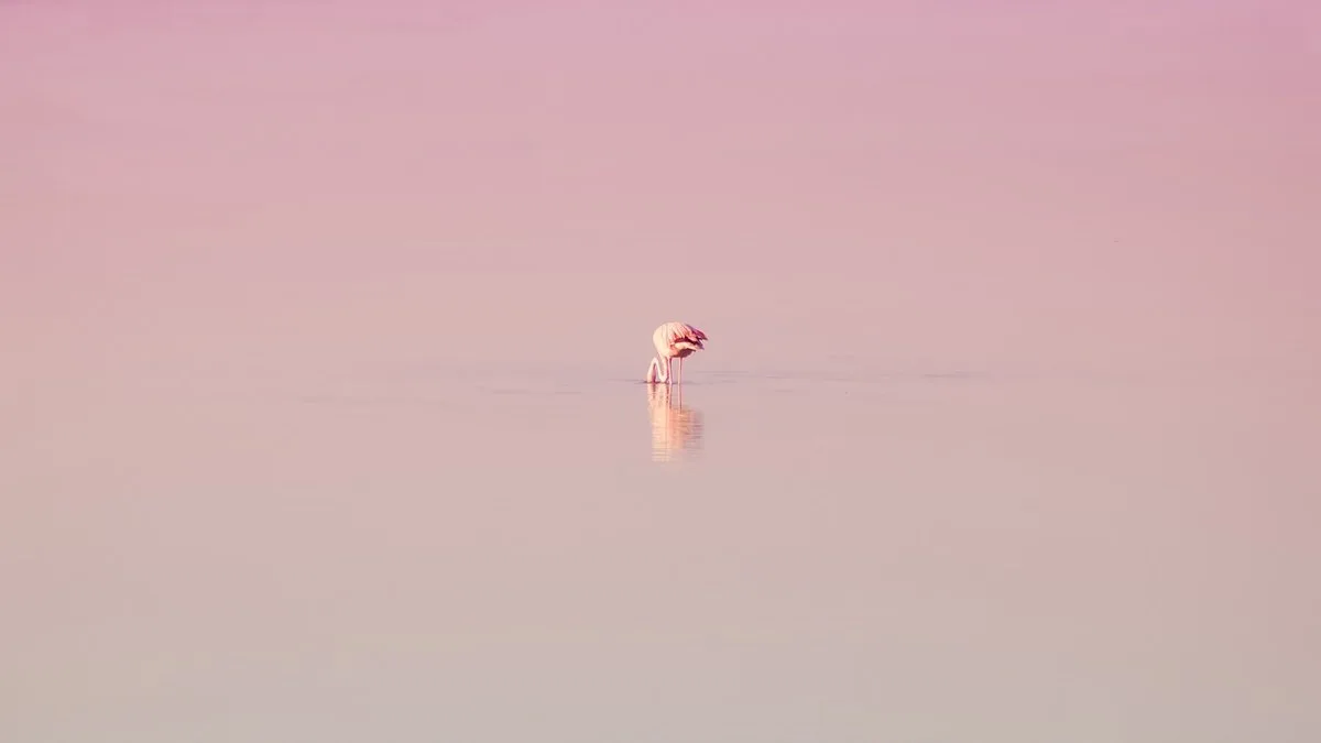 Lac Natron et Ol Doinyo Lengai : guide complet du duo géologique du Rift tanzanien