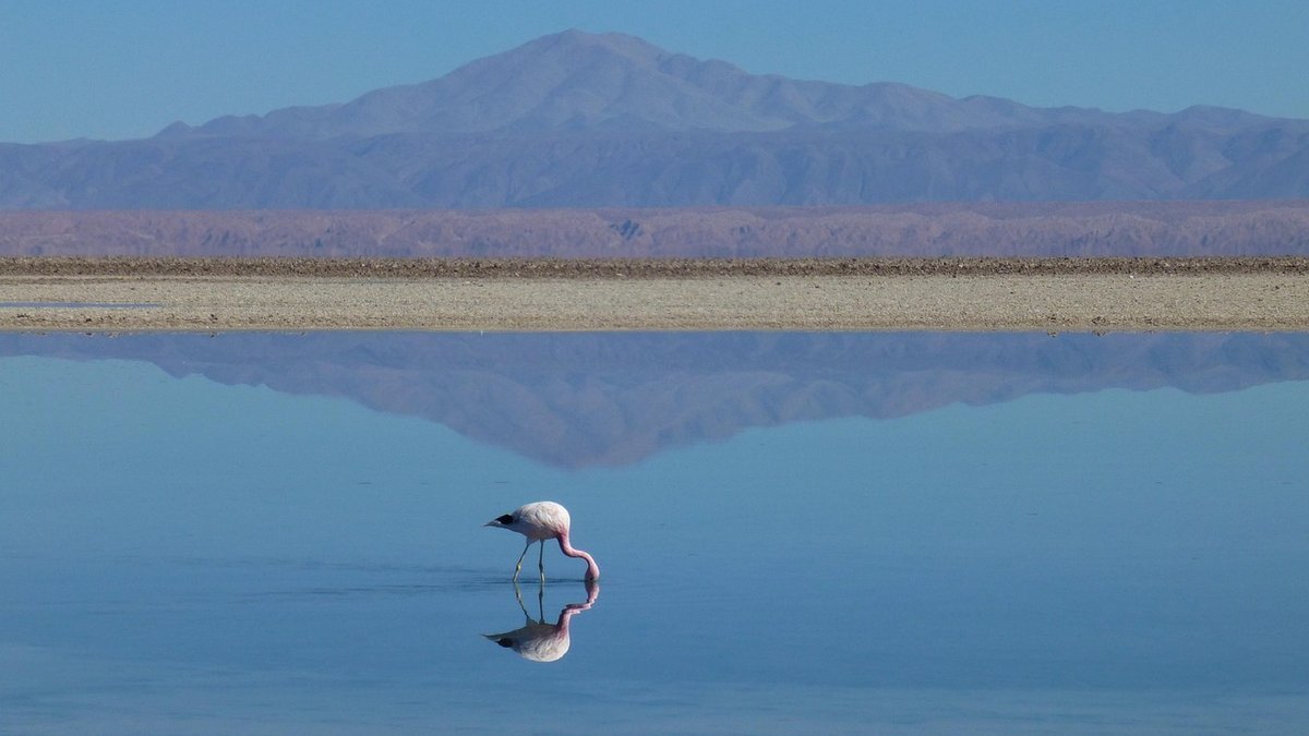 Lac Manyara en Tanzanie