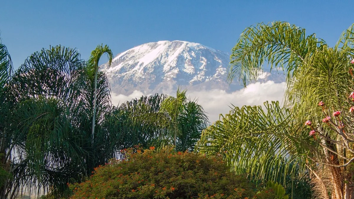 Safari et Kilimandjaro : combiner l'ascension du toit de l'Afrique et un safari en Tanzanie