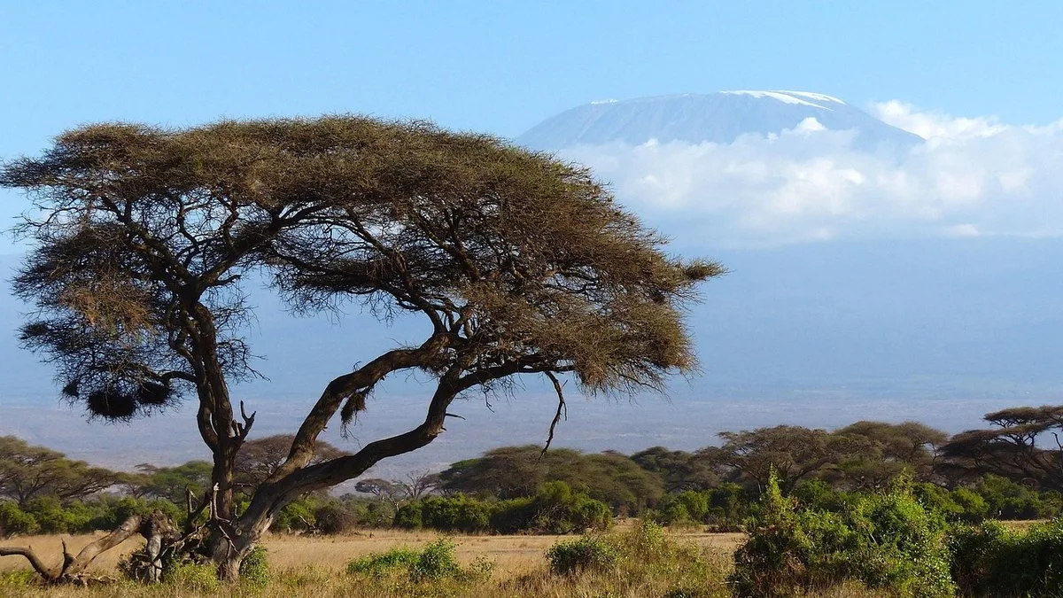 Kilimandjaro : guide complet du toit de l'Afrique — voies, altitude et zones climatiques