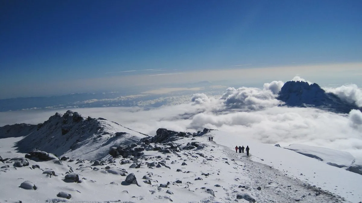 Combiné safari + Kilimandjaro : guide complet pour 12 à 16 jours d'aventure