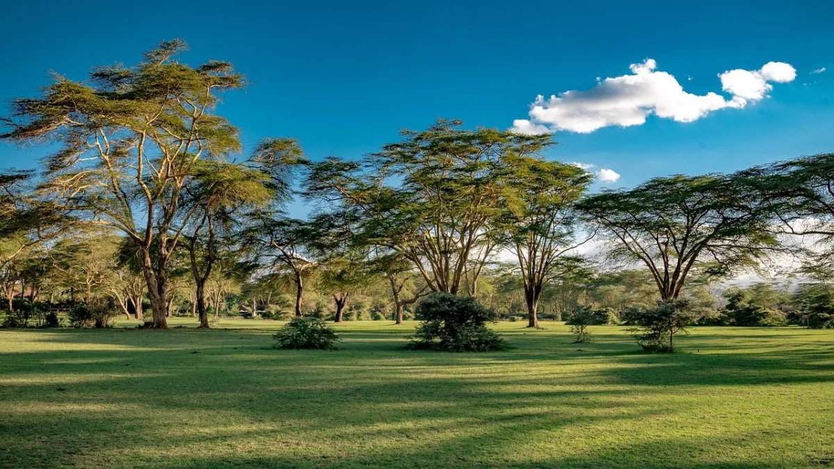 Lac Naivasha : l'oasis verte de la vallée du Rift au Kenya