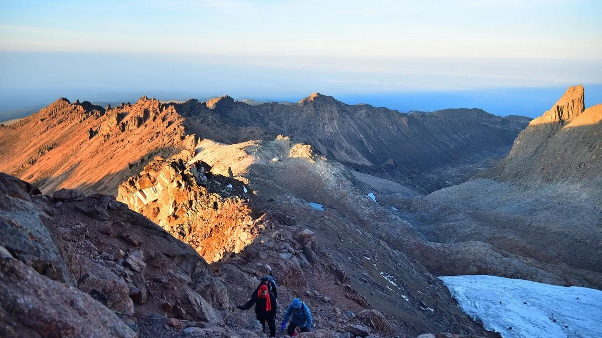 Faune et flore du Mont Kenya : écosystèmes par altitude