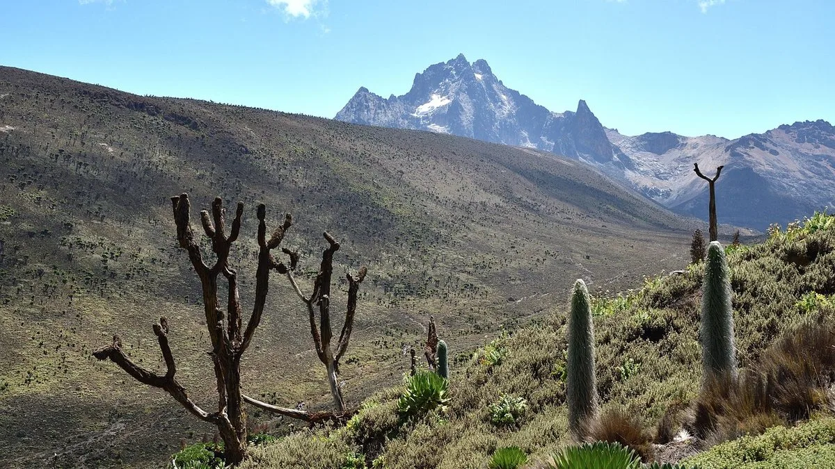 Ascension du Mont Kenya : guide trek vers le Point Lenana