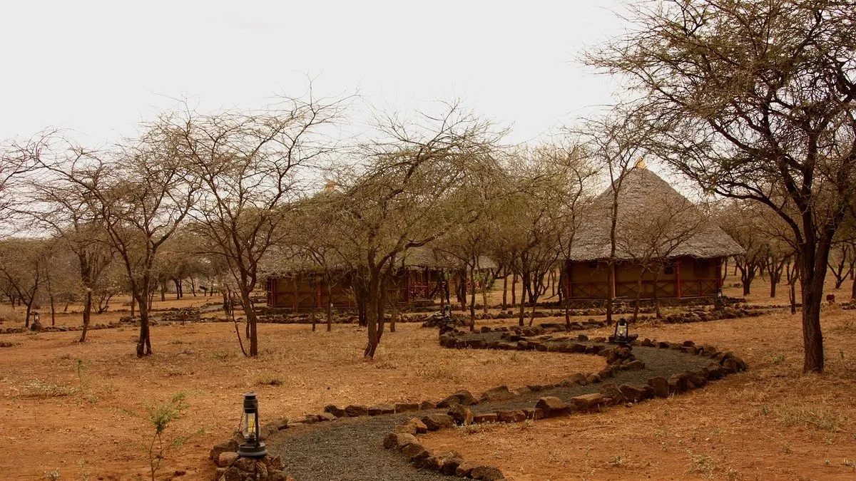 Éco-lodges au Kenya : safari responsable et durable