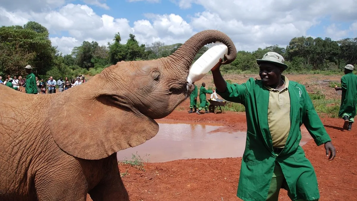 Météo à Nairobi : climat et températures mois par mois
