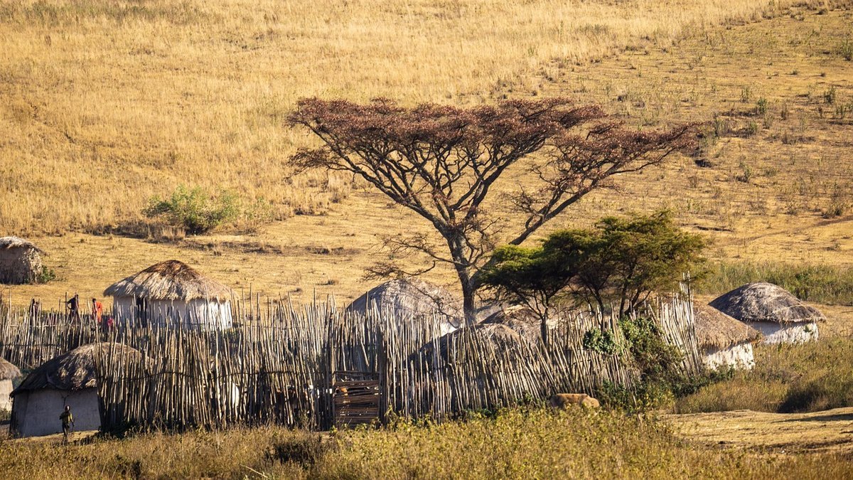 Paysages de Tanzanie