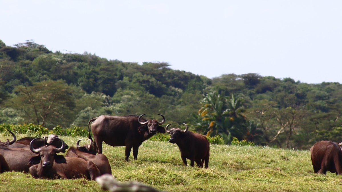 Paysages de Tanzanie