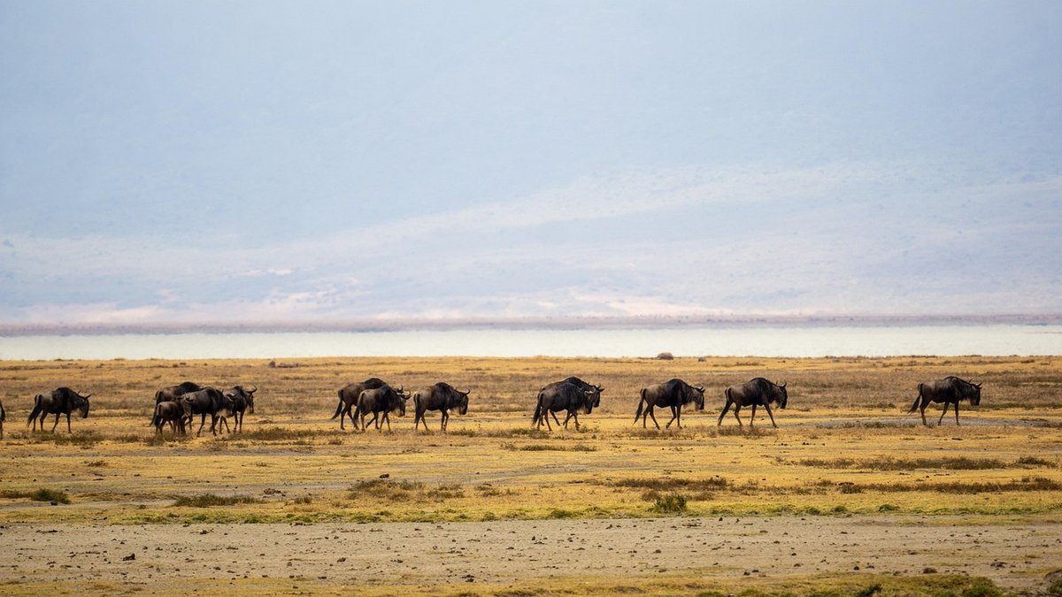 Paysages de Tanzanie