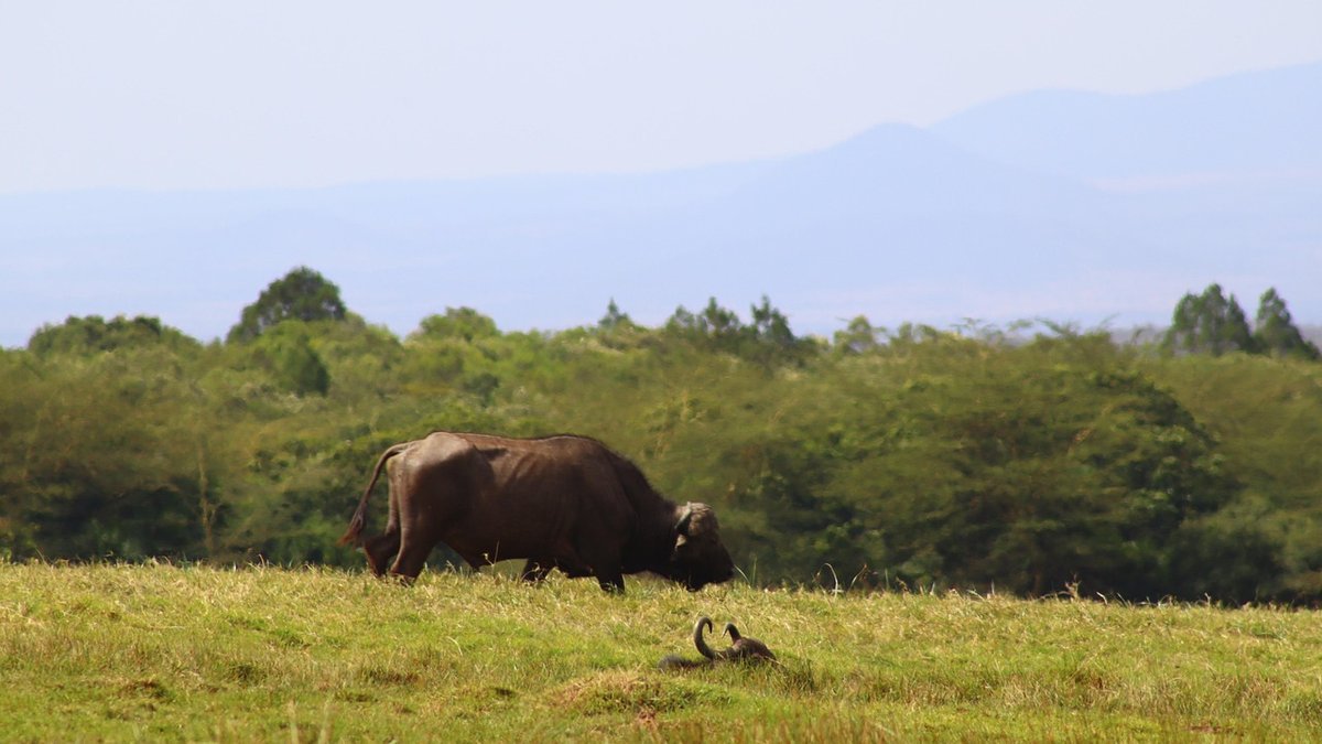 Paysages de Tanzanie
