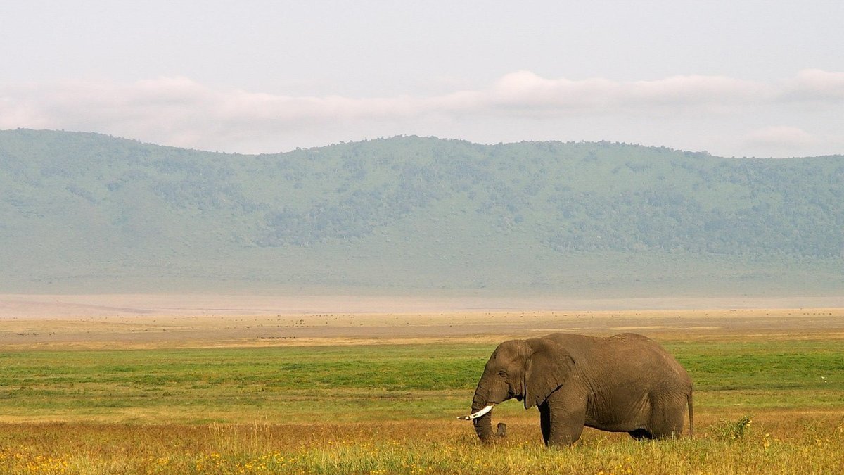Paysages de Tanzanie