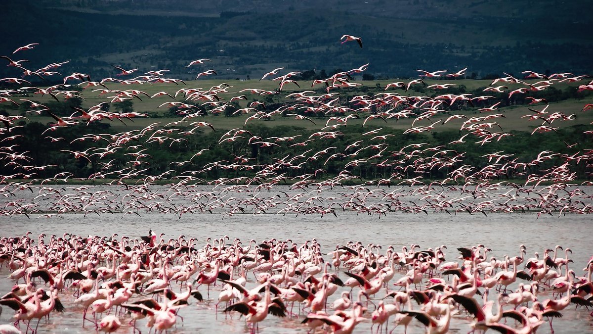 Paysages du Kenya