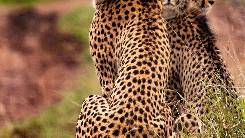 Paysages du Kenya
