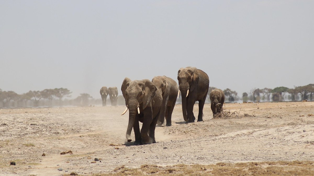 Paysages du Kenya