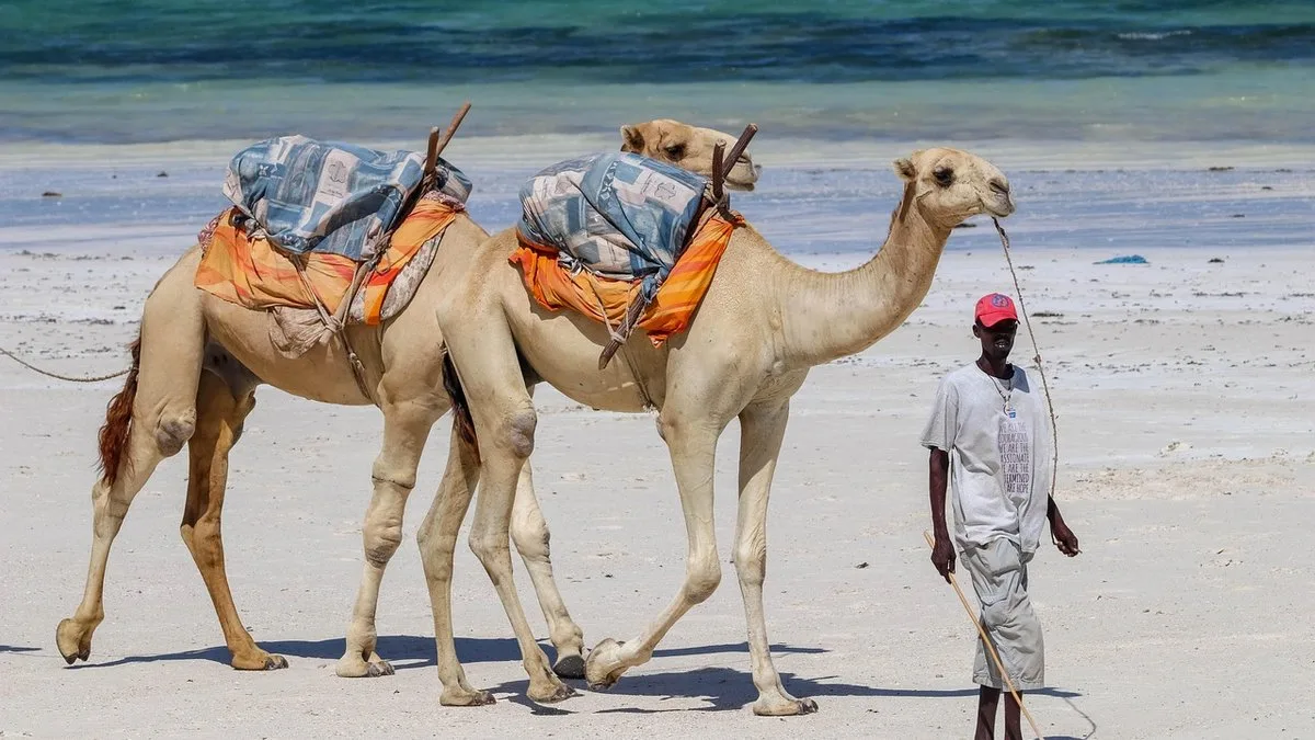 Malindi : histoire et plage sur la côte kenyane