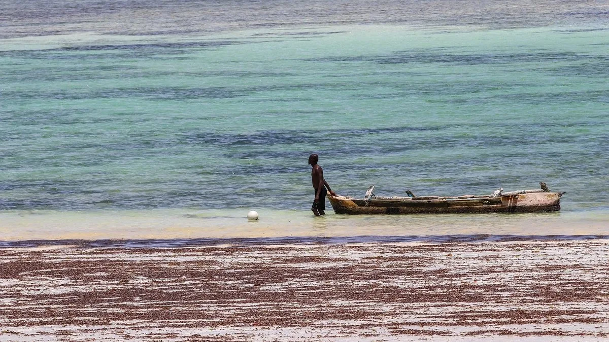 Hôtels à Diani Beach : les meilleurs resorts et boutique-hôtels