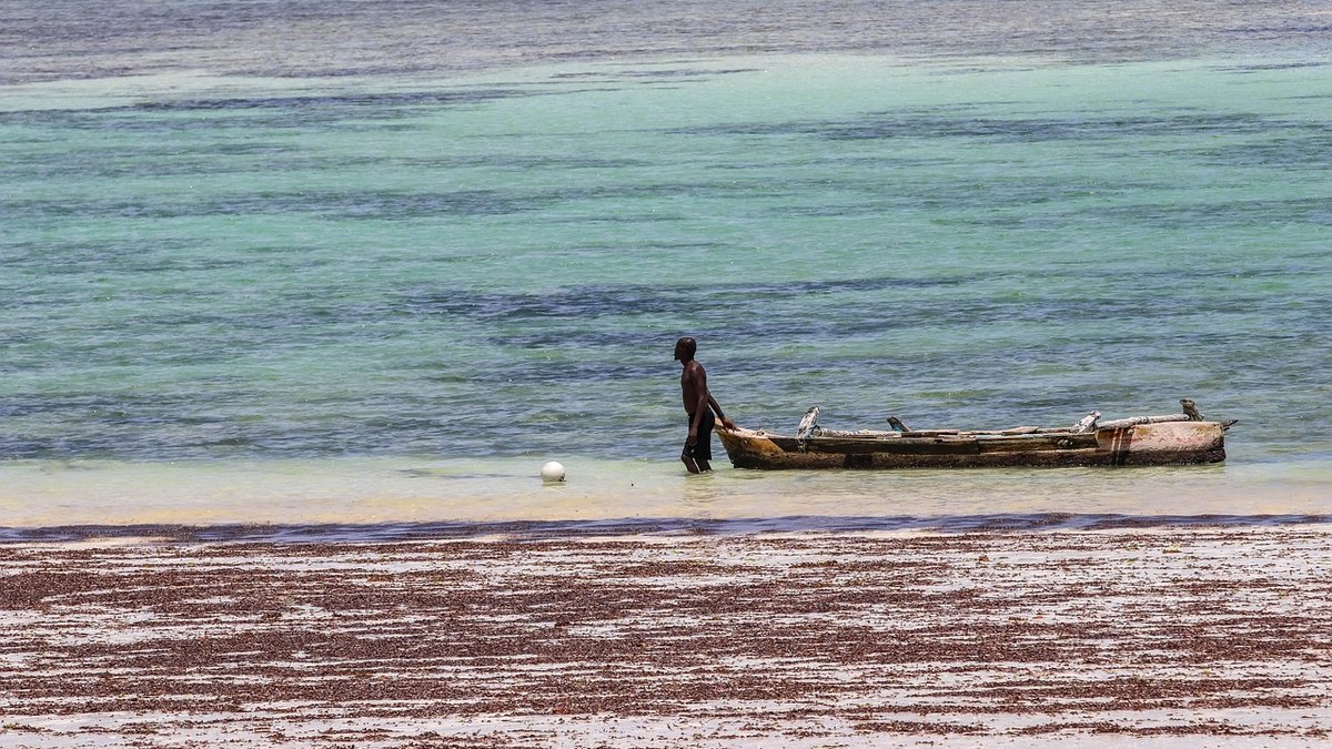 La côte kényane au Kenya
