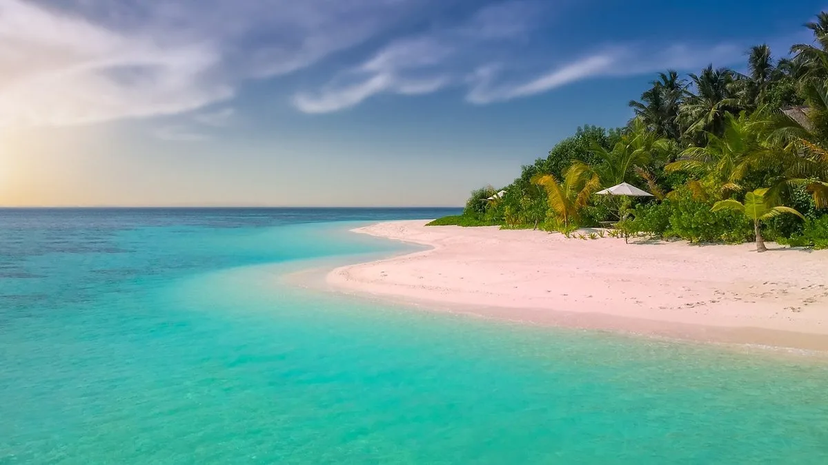 Excursions depuis Mombasa : safari, îles et activités