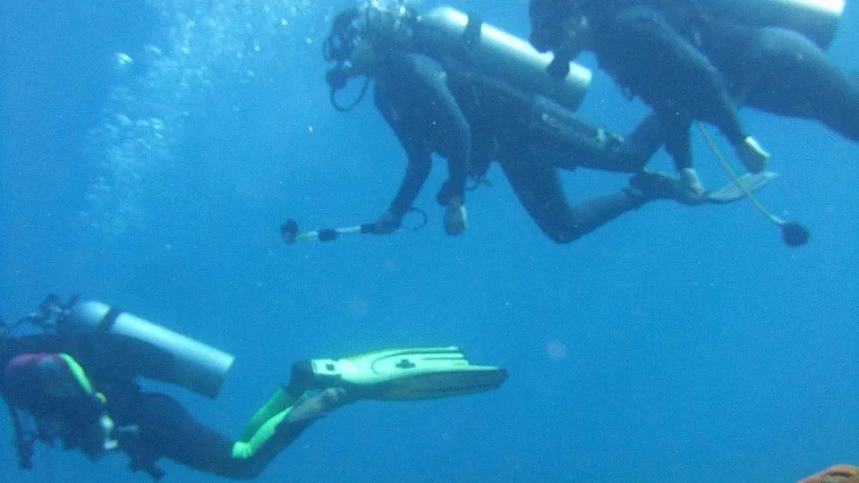 Snorkeling au Kenya : les meilleurs spots des parcs marins