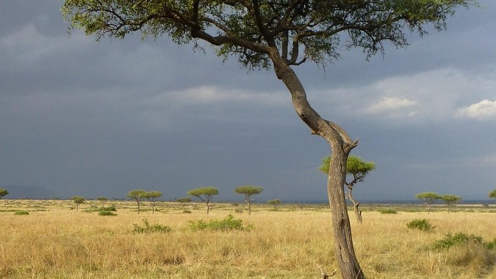 Saisons en Afrique de l'Est en Tanzanie