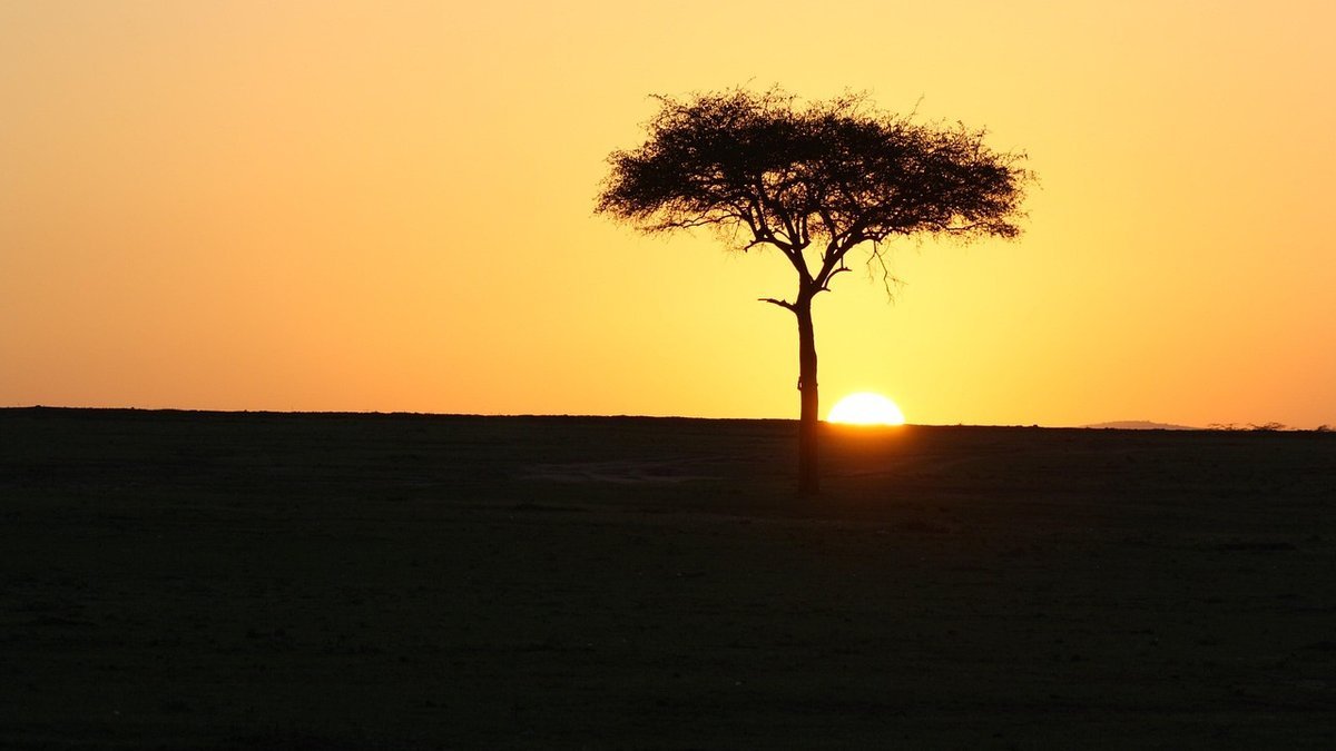 Savane du Kenya