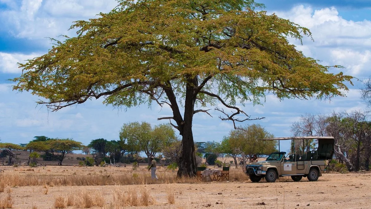 La faune de Tanzanie : guide complet des animaux à observer en safari