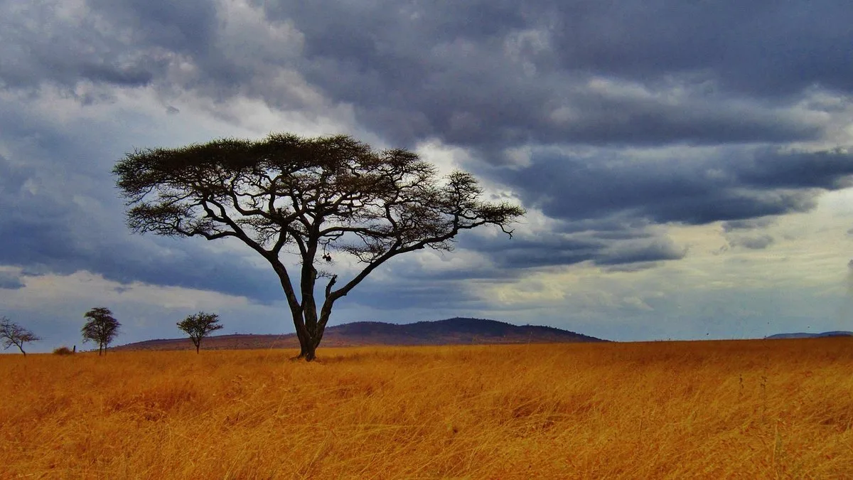 Parc national d'Arusha : mont Meru, lacs Momella et faune afromontagnarde
