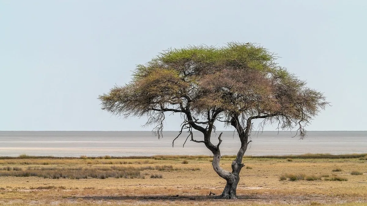 Safari de luxe en Tanzanie : les adresses d'exception et expériences exclusives