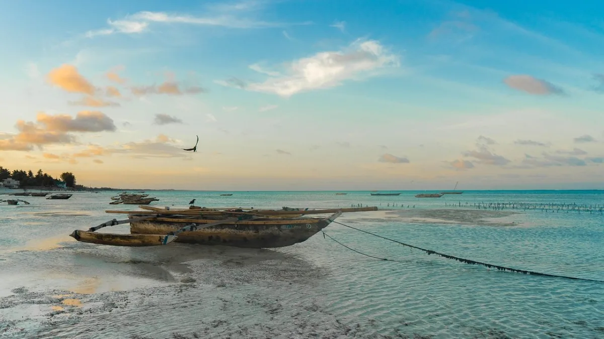 Spice Tour à Zanzibar : visite des plantations d'épices de l'île