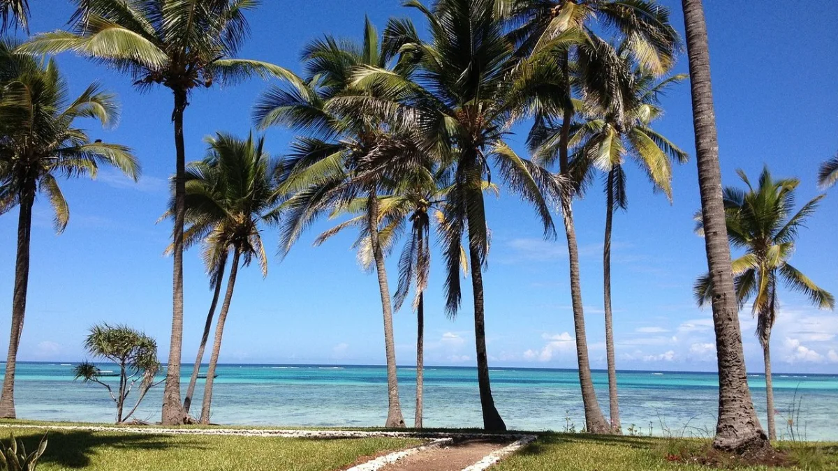 Stone Town Zanzibar : guide complet du joyau swahili classé UNESCO