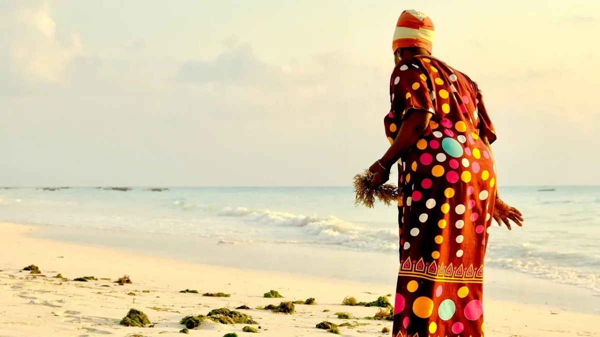 Zanzibar : guide complet de l'île aux épices — Stone Town, plages et culture swahilie