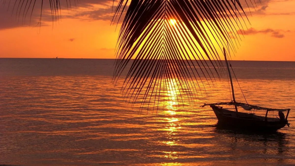 Zanzibar en famille : le guide complet pour un séjour inoubliable avec vos enfants