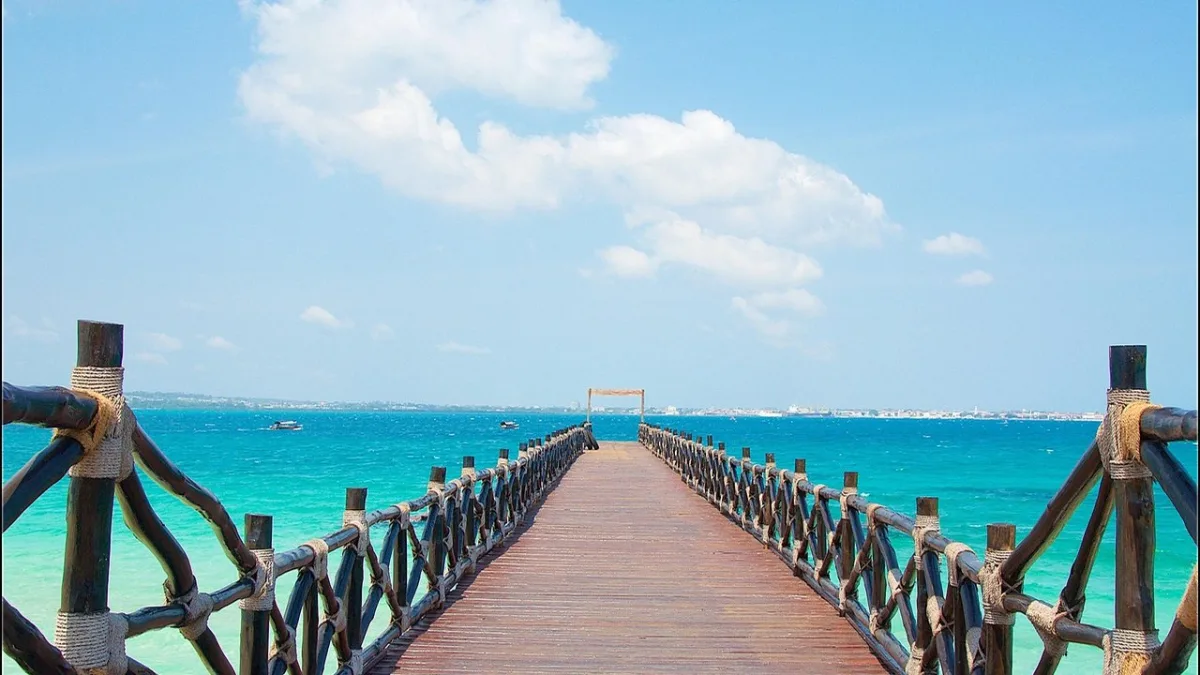 Safari 14 jours en Tanzanie et Zanzibar : itinéraire et budget